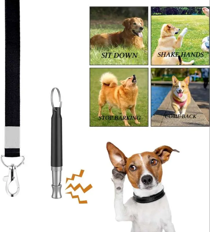 4-in-1 Dog Training Set