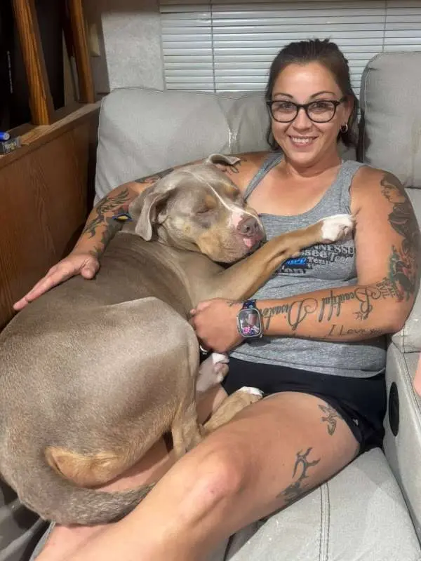 Bully Mamas Pet Sitting