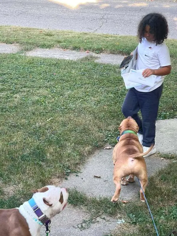 Wendy's Pawfessional Pet Care