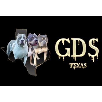 GDS TX - XL BULLY BREEDER