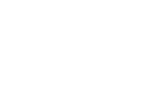 The Bully Supply Logo